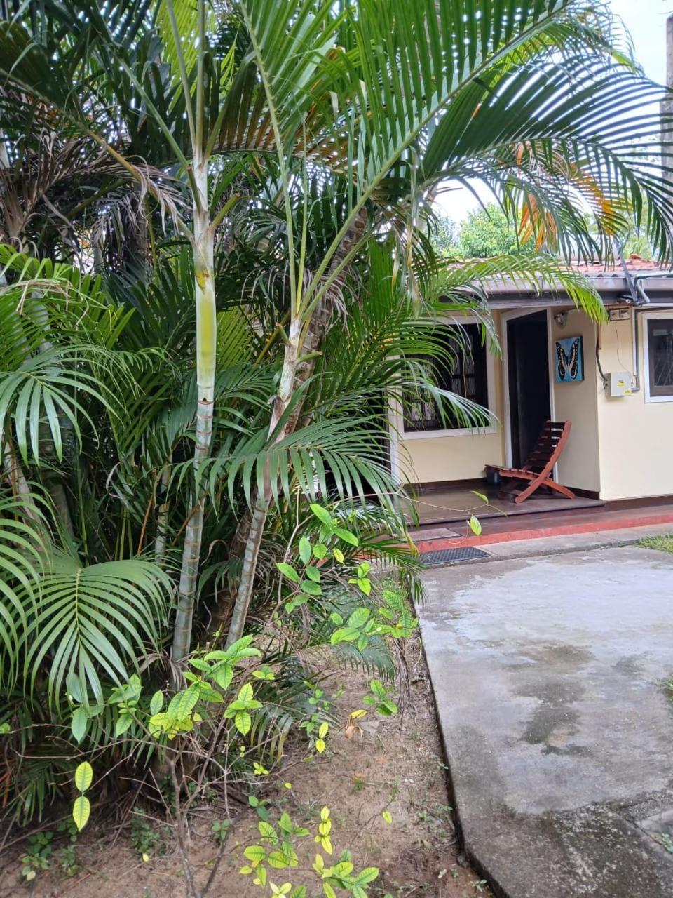 Fuchs Villas Negombo Exterior photo